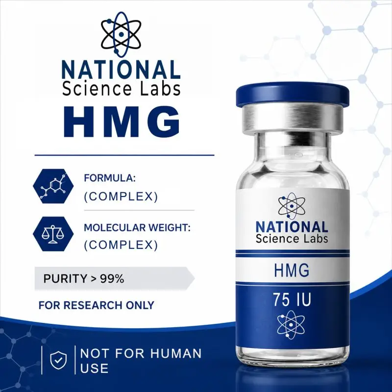NSL Product Mockup_hmg-75iu