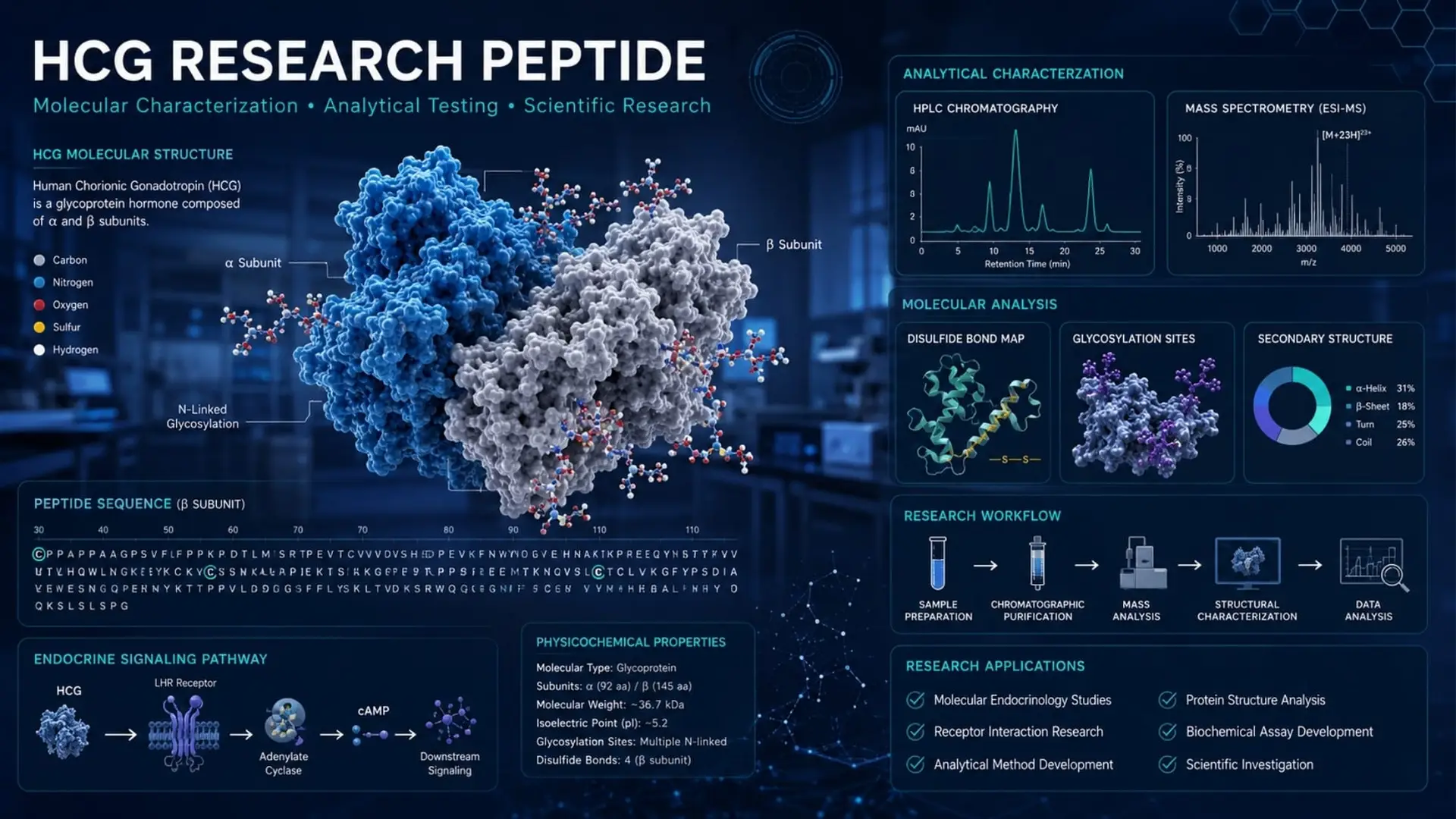 Scientific illustration of HCG research peptide molecular structure, analytical testing workflows, and laboratory research applications.