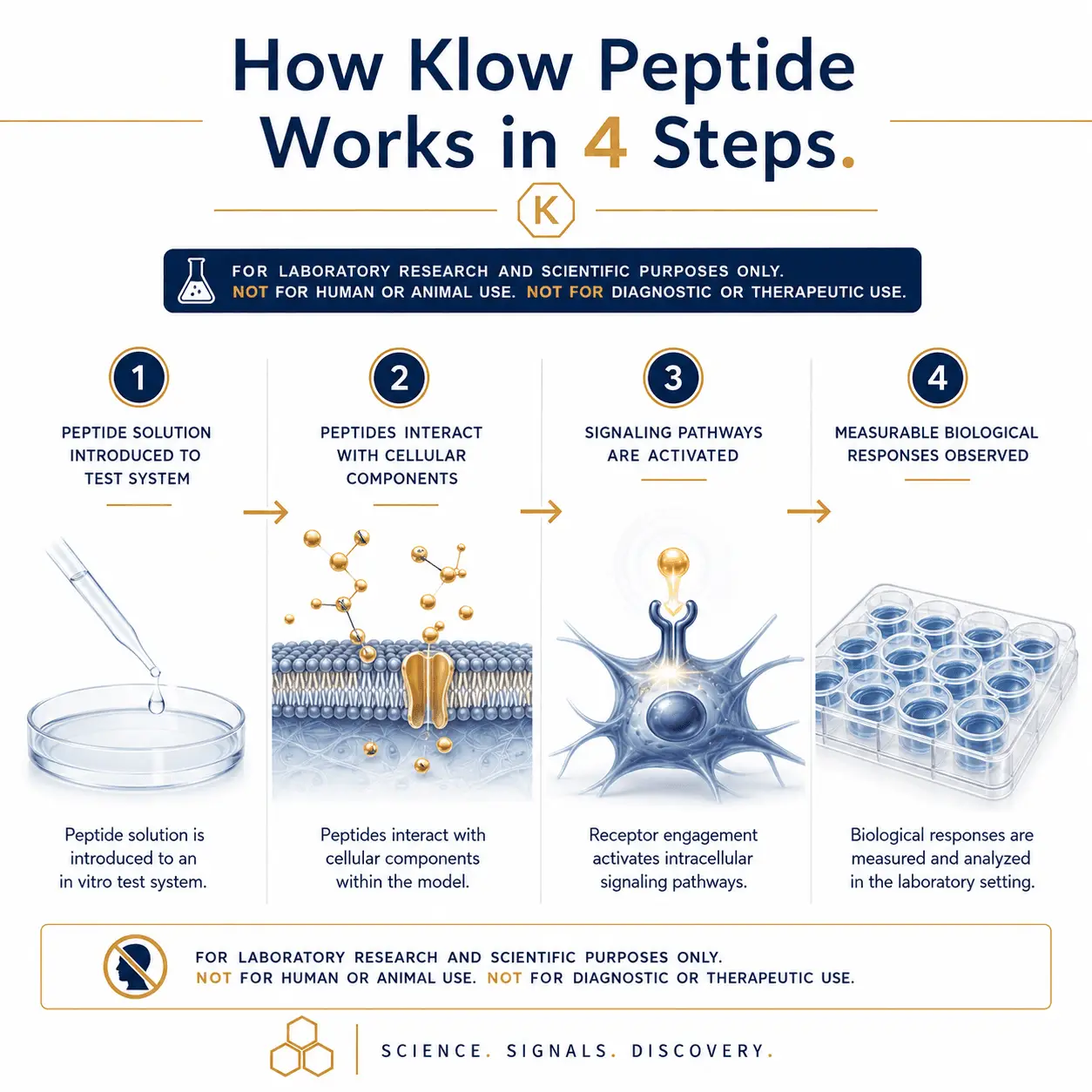 Klow Peptide research image 2 for laboratory blend studies