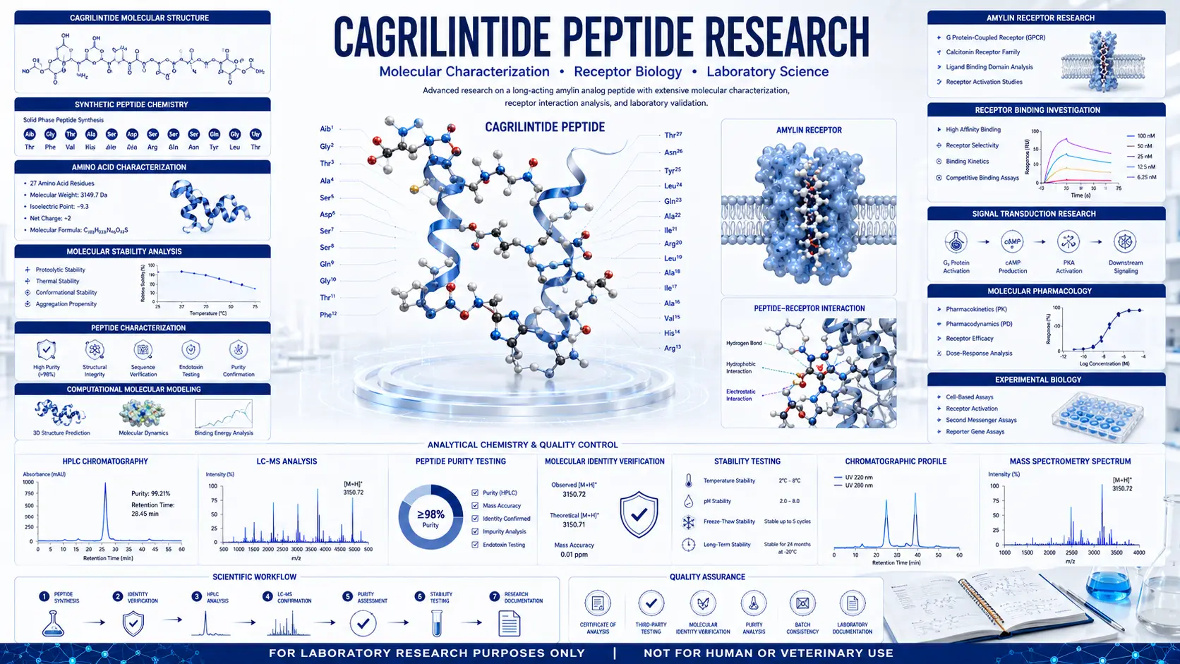 Scientific infographic illustrating Cagrilintide Peptide molecular structure, receptor biology research, analytical testing workflow, HPLC analysis, and laboratory characterization on a clean white scientific background.