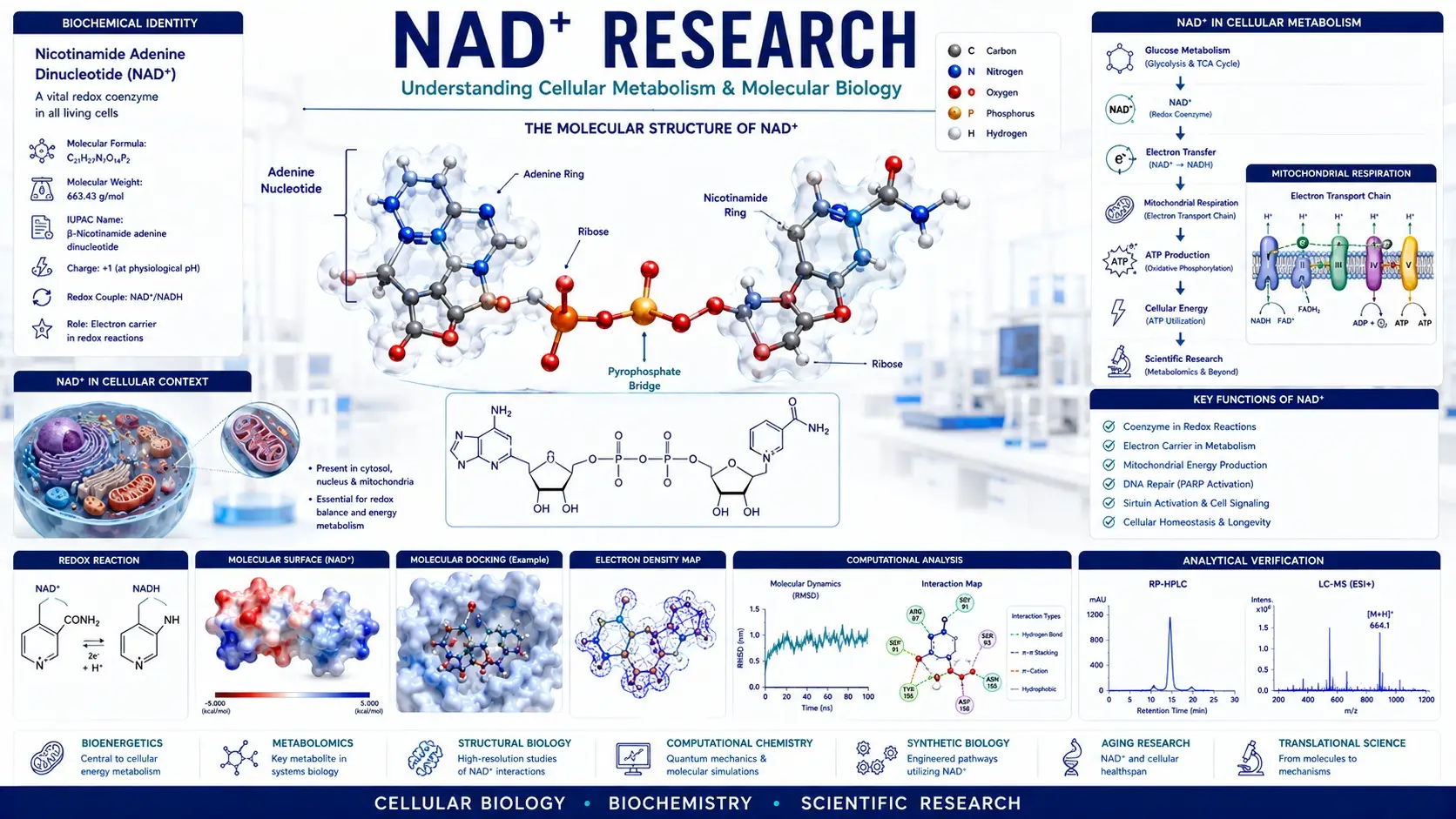 NAD Peptide | Is NAD+ a Peptide? Scientific Research Guide