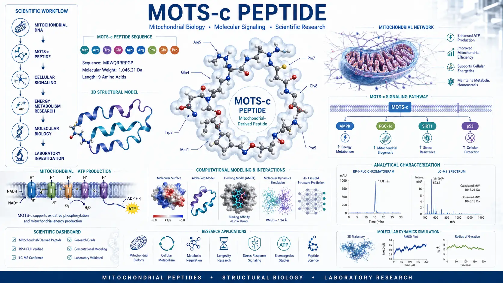 Publication-quality scientific illustration of the MOTS-c peptide highlighting mitochondrial signaling, peptide structure, cellular energy metabolism, molecular biology, computational modeling, and laboratory analytical workflows.