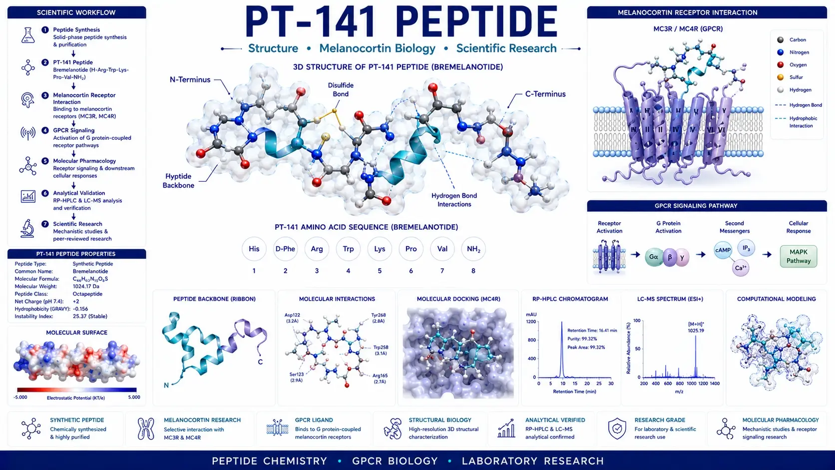 Scientific infographic illustrating the 3D molecular structure of PT-141 peptide, melanocortin receptor signaling, computational molecular modeling, peptide chemistry, and laboratory research workflow