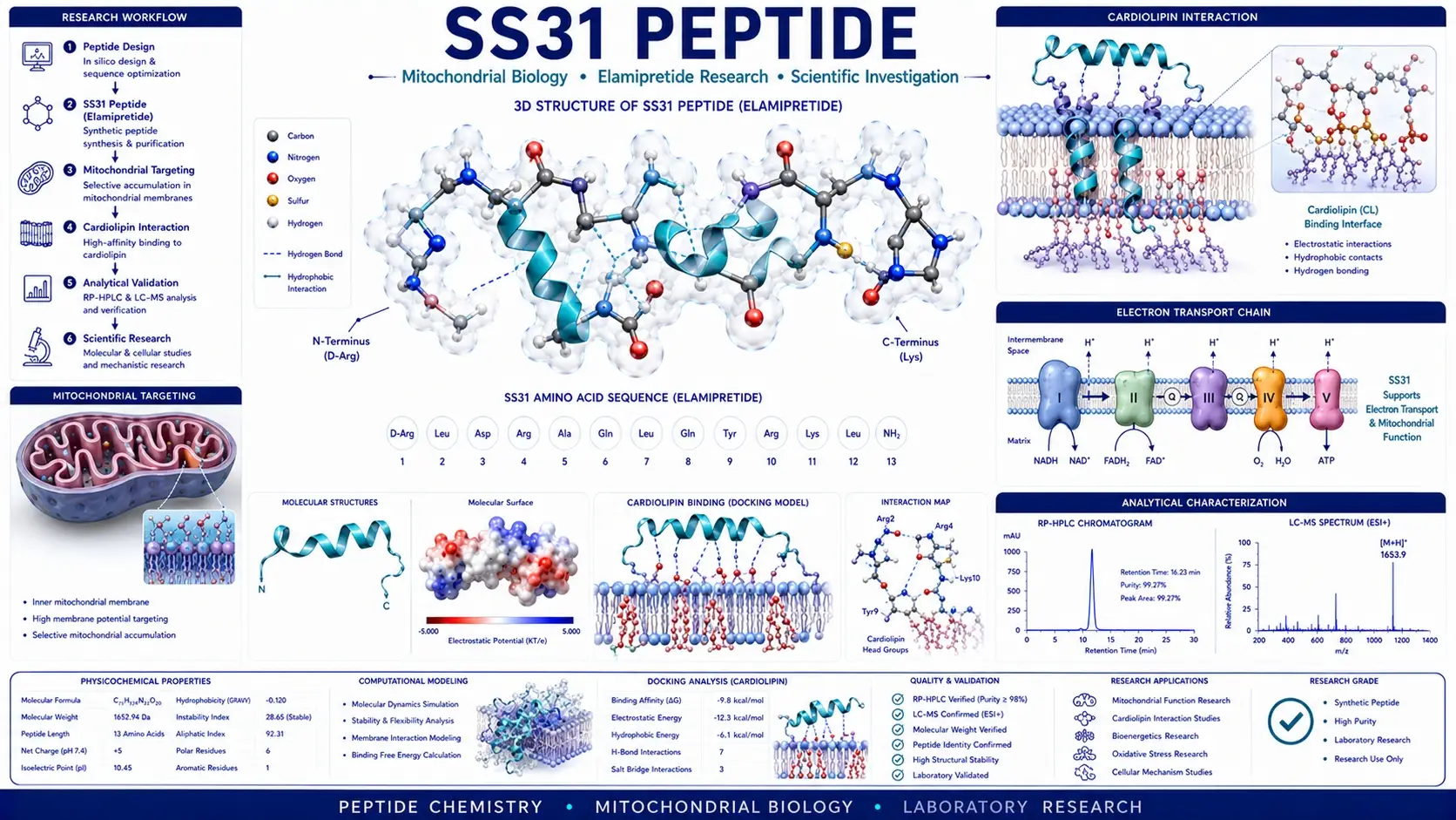 Scientific infographic illustrating the three-dimensional molecular structure of SS31 peptide (Elamipretide), mitochondrial membrane interaction, cardiolipin targeting, computational molecular modeling, and laboratory peptide research